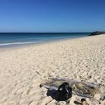 Eric Delaere - @ed71wa - Instagram