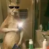 Eric De la paz - @eric.de.la.paz - TikTok