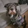 Erich Delk941 - @erichdelk941 - TikTok