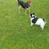 Eric Demare - @eric.demare - TikTok