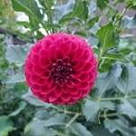 Eric Derby - @erictderby - Instagram