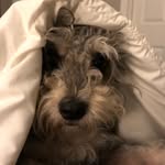 Eric Detweiler - @ericsdet - Instagram