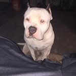 Eric Dewitt - @ericdewitt72 - Instagram