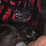 Eric Dickey - @ethayne1 - Instagram