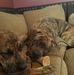 Eric Dickman - Facebook