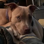 Eric Dierker - @dierker_idontevenknowher - Instagram