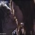 "ERIC DRAVEN E SHELLY WEBSTER:REAL LOVE IS FOREVER,TRUE LOVE NEVER DIES!&qu... - Facebook