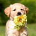 Eric Dieterich - Facebook