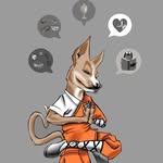Eric Díez - @educador_canino_k10 - Instagram