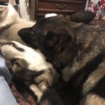 Eric Digman - @dudediggs - Instagram