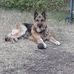 Eric Dillard - Facebook