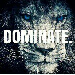 Eric Dillard - @ericdillardtkd - Instagram