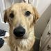 Eric Dillon - Facebook