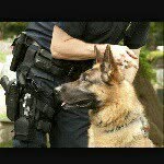 Eric A Dilorenzo👮🚔󾓦🏈🎿⛵🐶 - @blueline285 - Instagram