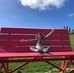 Erica Dimartino - Facebook