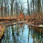 Eric Dines - @ericdines - Instagram