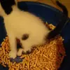 Erica Dingler - @erica.dingler - TikTok
