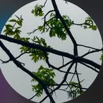 Eric dingus - @ericdjngus - Instagram