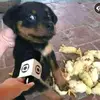 Eric Diniz - @ericdiniz19 - TikTok