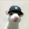 ericdiniz - @ericdiniz - TikTok