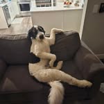 Eric Dirks - @ericndirks - Instagram