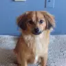 Eric.Dirksmeyer - @eric.dirksmeyer - TikTok