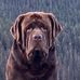 Eric Dittrich - Facebook