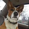 Eric Dobbins - @ericdobbins57 - TikTok