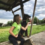 Archi👑 - @_erich_litle_doberman_ - Instagram