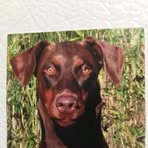Eric Doberman - Facebook