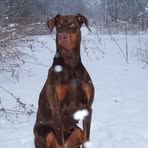 Eric Doberman - Facebook