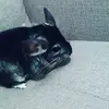 ericdobrolinski - @ericdobrolinski - TikTok