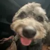 erica - @ericadoggett - TikTok