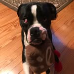 Eric Dominick - @kfpanda47 - Instagram