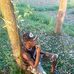 Eric Donalson - Facebook
