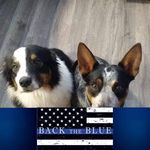 Eric Doran - @eric.d3434 - Instagram