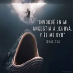 Eric Dorantes - @dorantes.eric - Instagram
