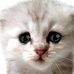 Eric Doss - Facebook