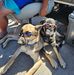Eric Dougherty - Facebook
