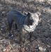Eric Dowd - Facebook