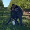 Erica Dowell - @erica.dowell6 - TikTok