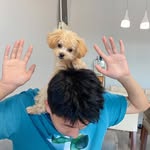 EricDragon13 - @ericdragon13 - Instagram