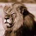 Eric Drescher - Facebook