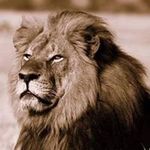 Eric Drescher - @erocx1 - Instagram