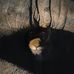 Eric Driggers - Facebook
