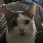 @eric_duenas_ - Instagram