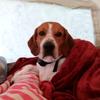 Eric Dumais722 - @xxxryker87792928 - TikTok