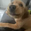eric_duprey - @eric_duprey - TikTok