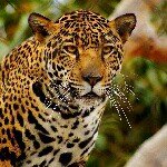 Eric Duran - @ericduran0 - Instagram