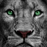 Eric Dyer - @eric.dyer.39982 - Instagram